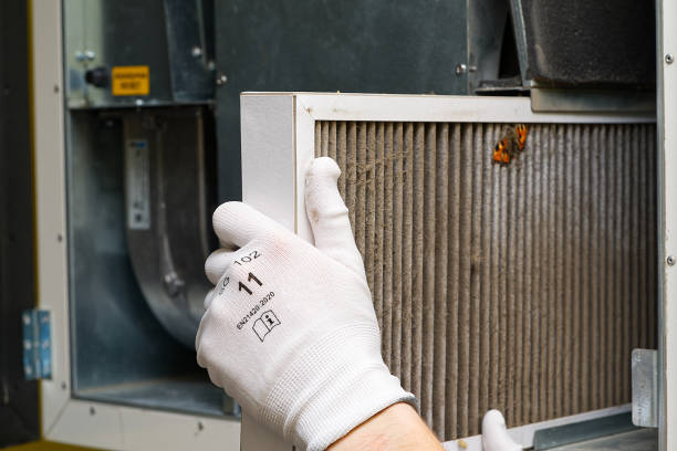 Best Affordable Duct Cleaning Services  in Edcouch, TX