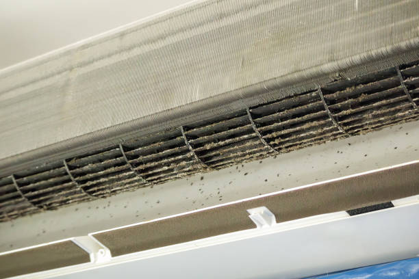 Affordable HVAC Duct Cleaning in Edcouch, TX